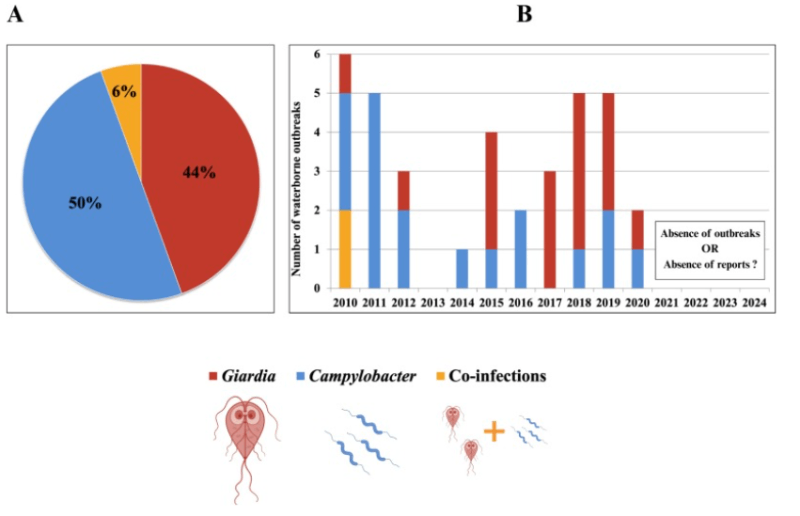 giardia y campylobacter en el agua