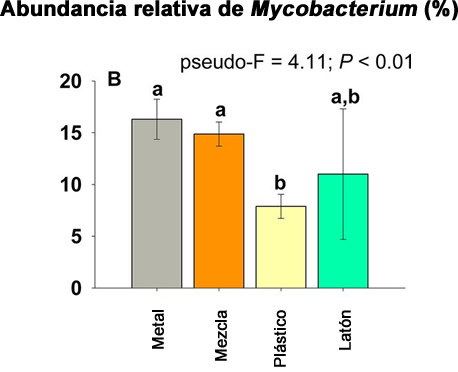 micobacterias