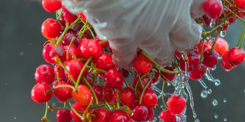 calidad del agua en la industria alimentaria