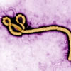 desinfeccion ebola