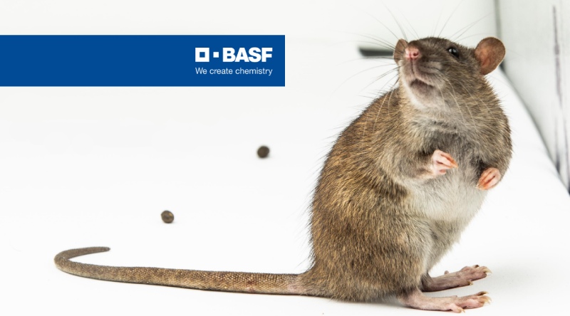 control de plagas y sostenibilidad BASF
