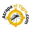 mosquito tigre