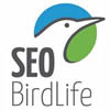 seo bird life