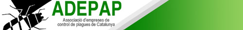 adepap logo