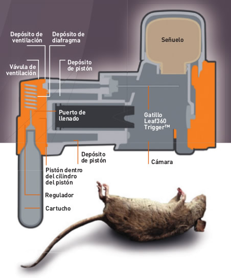 Fumigación al natural'; utilizan serpiente para 'eliminar' ratas de una casa
