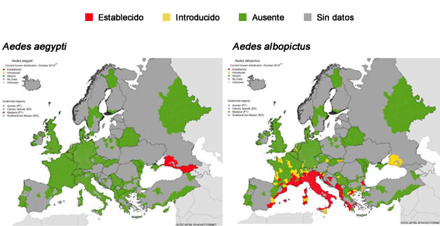 mosquitos europa