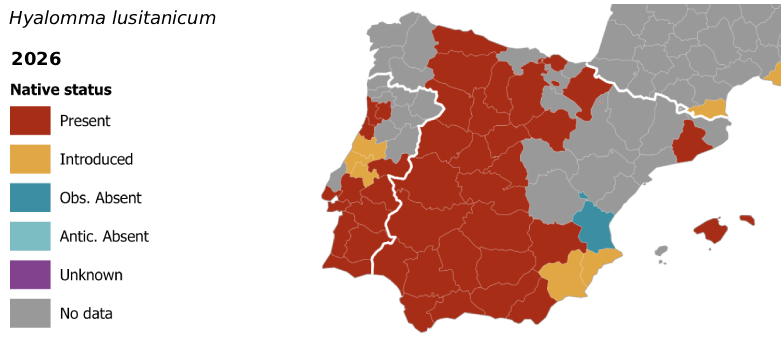 garrapatas