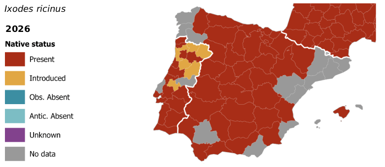 garrapatas