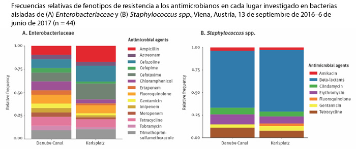 Las ratas como bioindicadores de la resistencia antimicrobiana en ciudades 