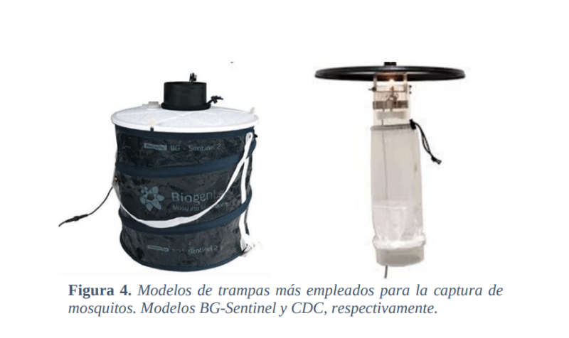 virus del nilo occidental