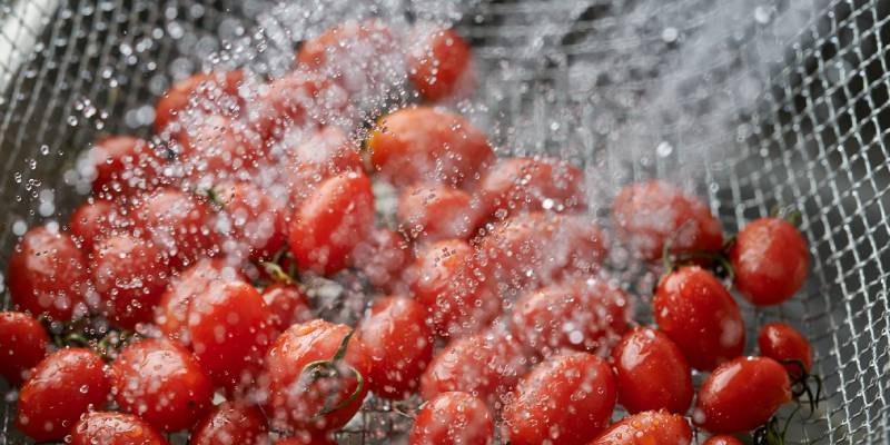 control oficial de la calidad del agua