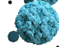 Cinco aspectos importantes de los norovirus | Higiene ...