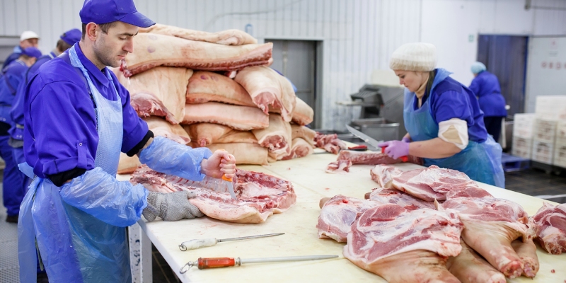 seguridad microbiologica de la carne