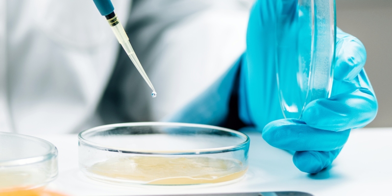 microbiologia de la cadena alimentaria