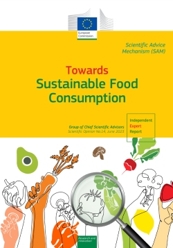 sistemas alimentarios sostenibles