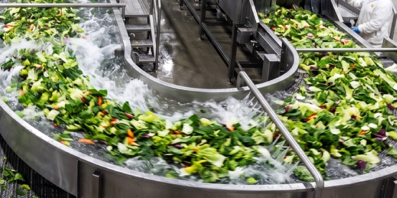 ensaladas de iv gama