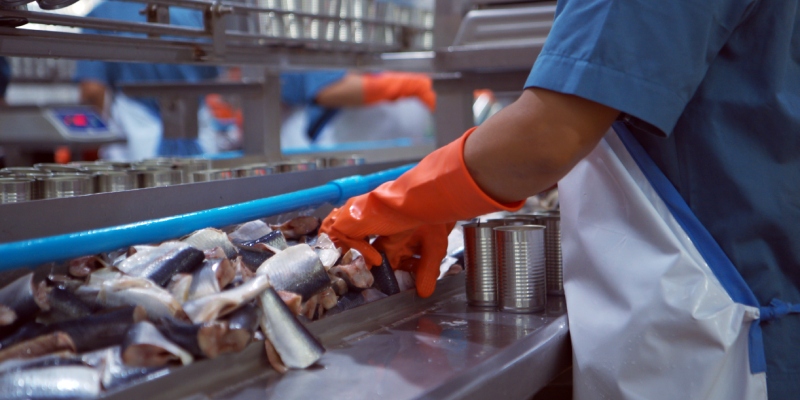 guias de limpieza y desinfeccion para empresas alimentarias