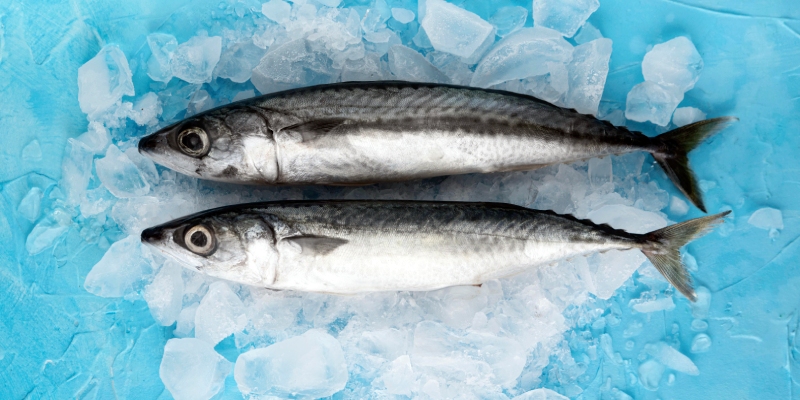 histamina en el pescado