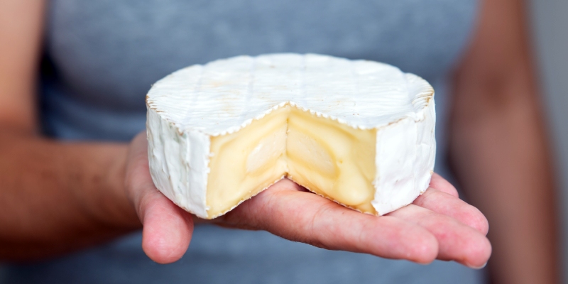 quesos con leche cruda, seguridad alimentaria