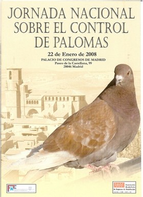 Jornada Palomas