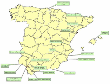 Zonas sensibles de entrada de la gripe aviar en España