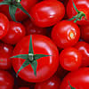 tomates.jpg