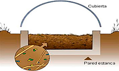 phytobac1.jpg