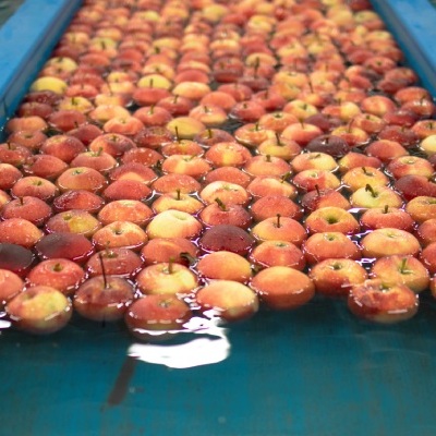 calidad del agua en la industria alimentaria