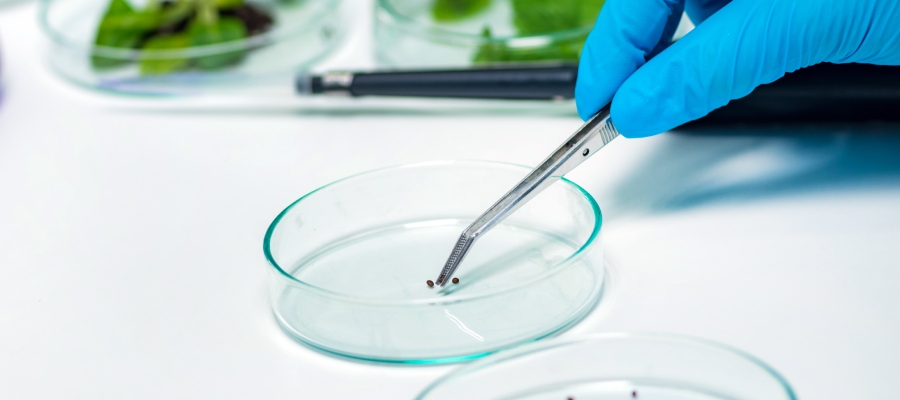 seguridad alimentaria