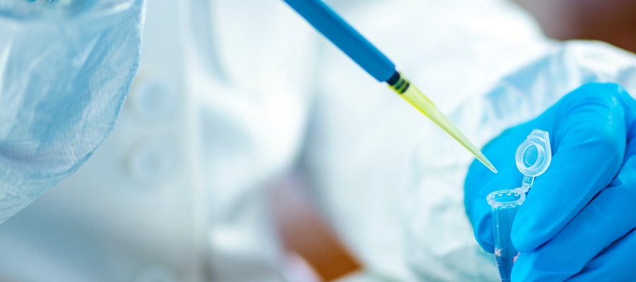 seguridad alimentaria