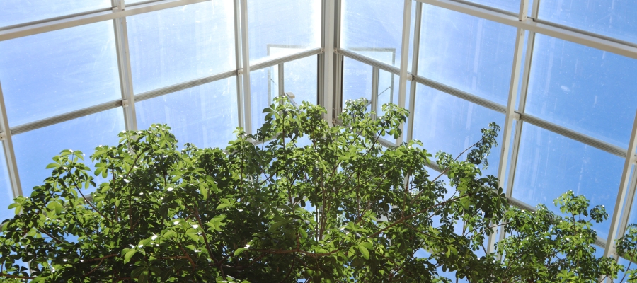 calidad ambiental en interiores