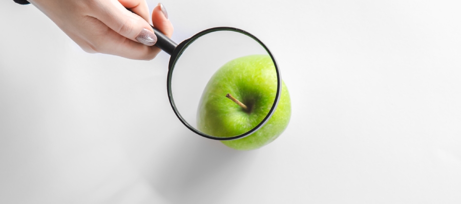 seguridad alimentaria