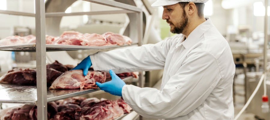 seguridad alimentaria