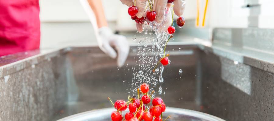 seguridad alimentaria