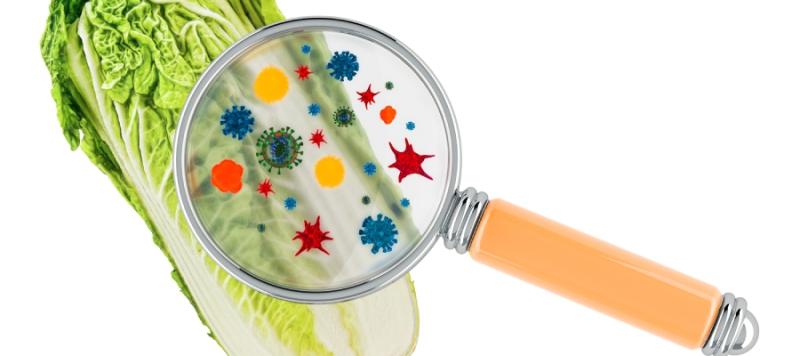 seguridad alimentaria