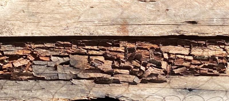 protectores de la madera