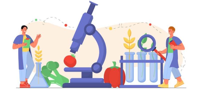 seguridad alimentaria