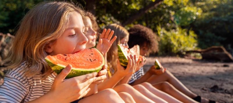 seguridad alimentaria