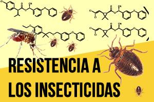 resistencia insecticidas