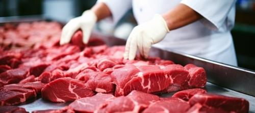 seguridad alimentaria