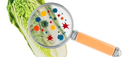 seguridad alimentaria