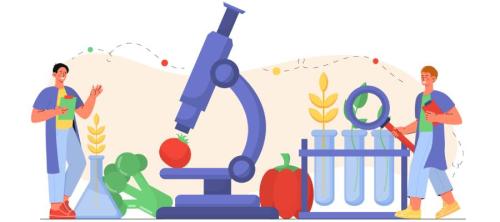 seguridad alimentaria