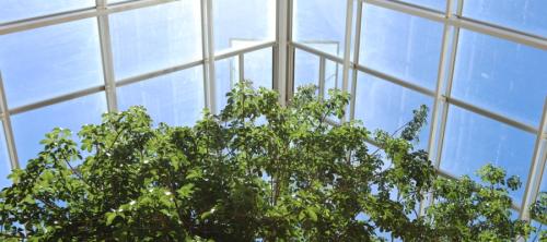 calidad ambiental en interiores