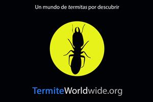 termitas