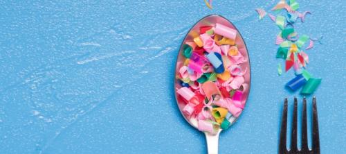 seguridad alimentaria