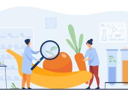 seguridad alimentaria