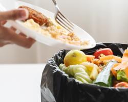 desperdicio alimentario