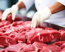 seguridad alimentaria