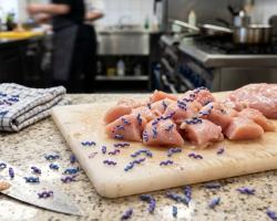 campylobacter