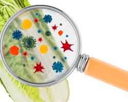 seguridad alimentaria